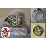 2016 Signet ring man of 14 g solid silver 925 1000/th, oval (...)