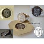 2013 Signet ring for man in white gold 18 carats, oval head (...)