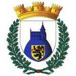 1999 Arms of the town of Montagny (Loire, France). Mixed (...)