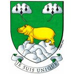 2021 Creation of the Coat of Arms of the Roche family (...)