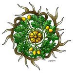 2011 Badge d'un chasseur (Italie & Suisse). Gouache, (…)