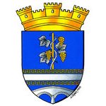 2021 Création des armoiries de la commune de Spoy (Aube, (…)